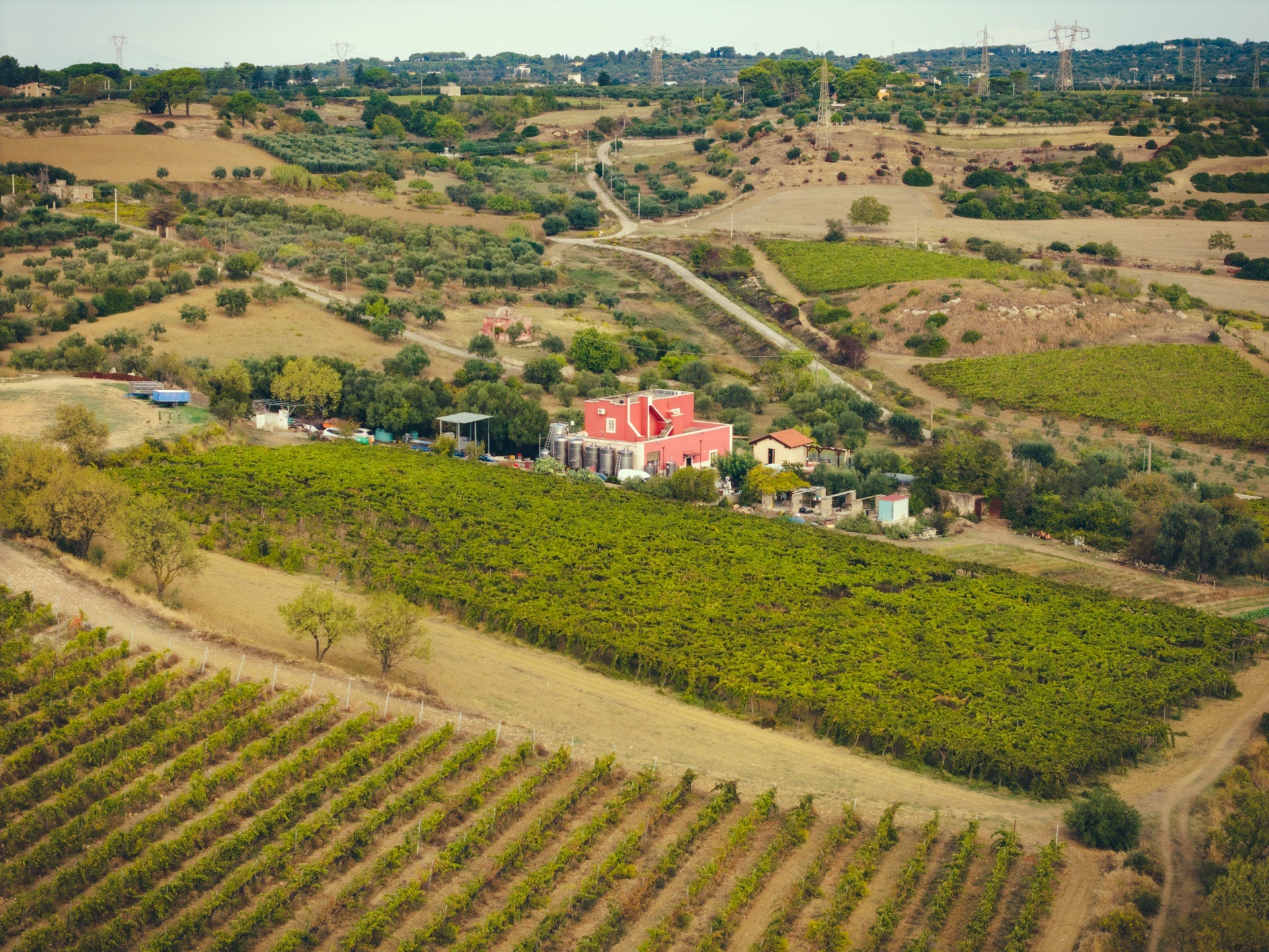 Lavorazioni e Passione in Cantine Dalena