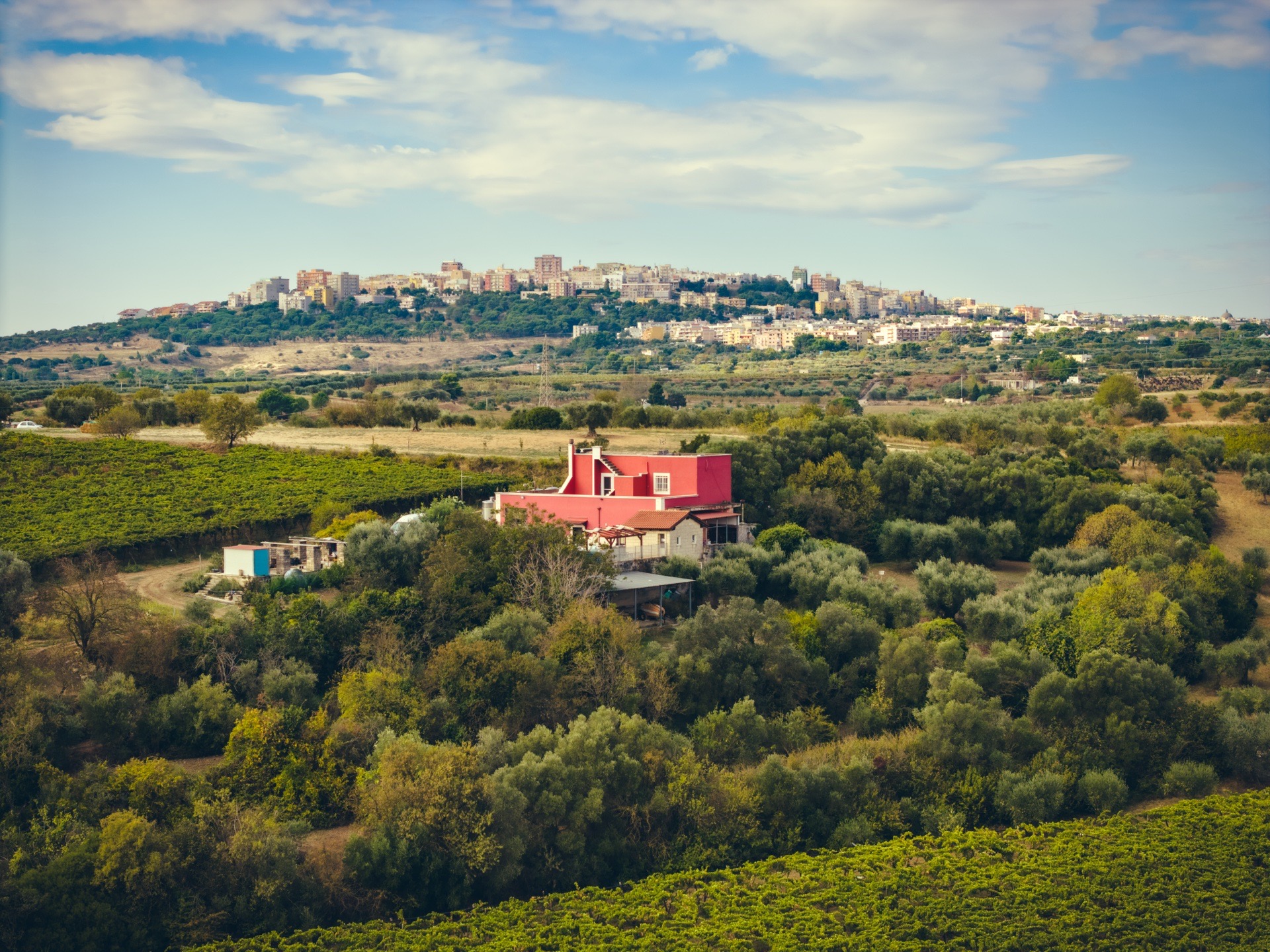 Terroir Geometries